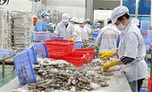 Nearby markets recommended for enterprises to boost exports