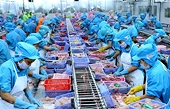 Local tuna exports surge during first half Việt Nam targets $5.5b in agro, forestry, fishery export value to EU