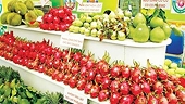 Exports of agricultural, forestry, fishery products increase