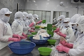 Imported animal products for export production exempt from quarantine
