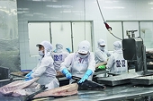 Diversify and overcome the decline in tuna exports from the EU market