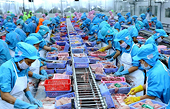 China: "fertile" market for Vietnamese seafood