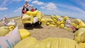 Agricultural sector persists with 50 billion USD export target