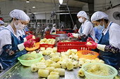 Vietnamese pineapples seek new chance in UK market