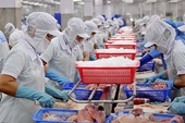 Tra catfish exports to the UK expected to rise 30 per cent in 2022
