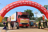 Vietnamese durians exported to China through official channels for first time