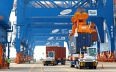 Export value up but sustainability needed