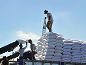 Seven enterprises assigned to import more than 100,000 tonnes of sugar