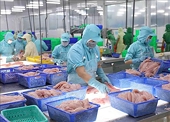Export growth maintained despite difficulties