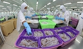Nine month's agro-forestry-fisheries exports surge 15.2 per cent