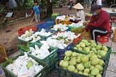 Planting area codes key for Việt Nam's farm produce exports