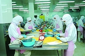 Pangasius exports can achieve record this year