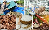 Bright prospects ahead for Vietnamese exports to Australia