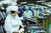 Exports to Netherlands set to exceed US$10.4 billion this year
