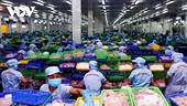 Vietnam likely to yield US$10 trade surplus this year