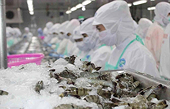 Vietnam's seafood exports decline as global inflation bites