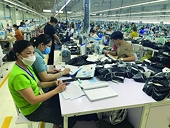 Take input for production to reduce import dependence