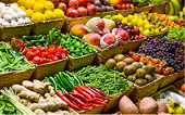 Agricultural byproduct exports surge on boom in international demand