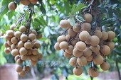 2022 – successful year for farm produce exports