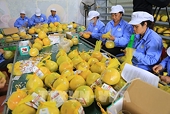 Green transition creates opportunities for Vietnam’s export forum