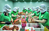 Vietnam fruit exported to new markets