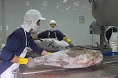 Difficulties in removing the IUU yellow card