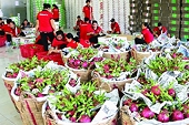 Accelerating exports to FTA markets