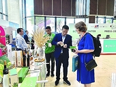 Green export - Sustainable direction of enterprises
