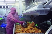 Let Vietnamese agricultural products break the fence into difficult markets