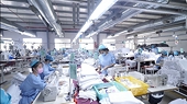 Breakthrough in exports in the New Year 2023