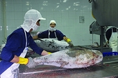 More opportunities to increase seafood exports to China