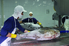 More opportunities to increase seafood exports to China