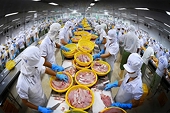 Vietnam remains third largest seafood supplier to RoK