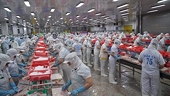 Shipments to US, China could rescue slumping pangasius fish exports