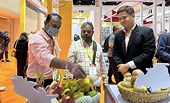 Expectations for fruit and vegetable export growth