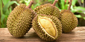 Vietnam’s durian exports to China targeted at US$1 billion this year