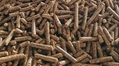 Pellets, chips to remain export growth drivers for wood industry in 2023