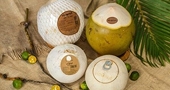 Positive outlook for Vietnam's coconut exports: experts