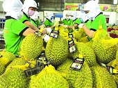 Clearing the way for enterprises to export agricultural products to China