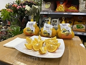 Vietnamese oranges hit the shelves of UK market