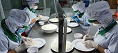 Urgently complete the procedures to export bird's nest to China officially
