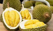 China approves 246 Vietnamese durian growing area codes