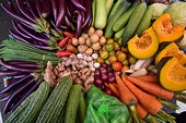 Agricultural products for export can be affected if there is no seed copyright