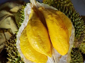 Chinese growers put Vietnamese durian, dragon fruit in risky oversupply