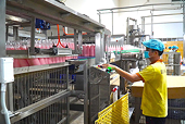 Vietnamese firms struggle to win domestic market