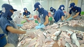 Plenty of room ahead to boost exports to ASEAN market