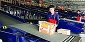 Grasping more export opportunities via digital platforms