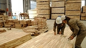 US extends duty evasion probe into plywood from Vietnam for sixth time
