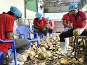 U.S. weighs restarting coconut imports from Vietnam