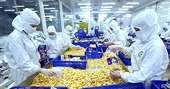 Vietnam’s opportunity to increase value of food manufacturing and processing
